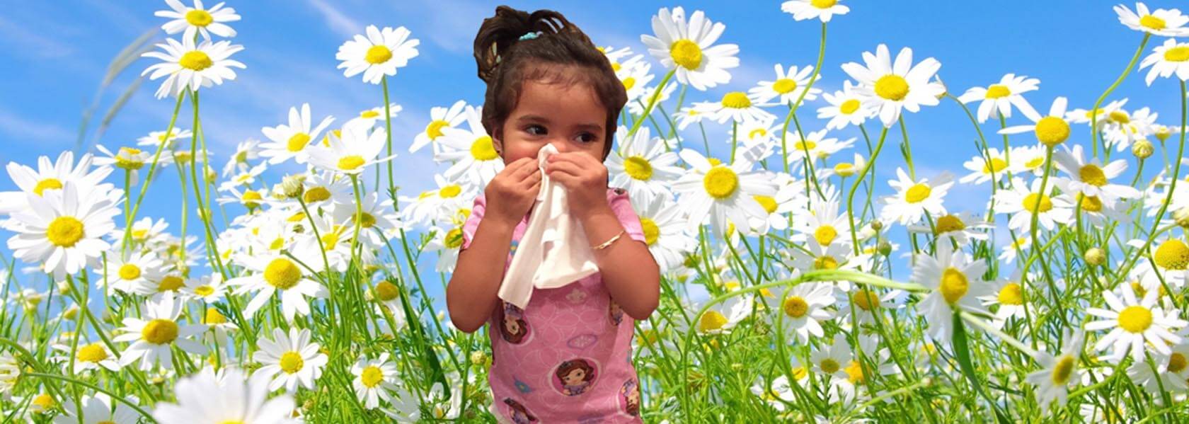 Dr. Manjula Mittal Pink City Allergy Treatment Centre Jaipur